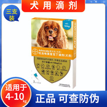 Germany Bayer Ewok 4-10kg dog in vitro and in vivo with a dog in vitro anthelmintics 1ml box
