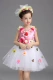 Quần áo biểu diễn mới cho trẻ em, váy xòe, váy công chúa, bé gái, trang phục guzheng, học sinh tiểu học và trung học, hợp xướng
