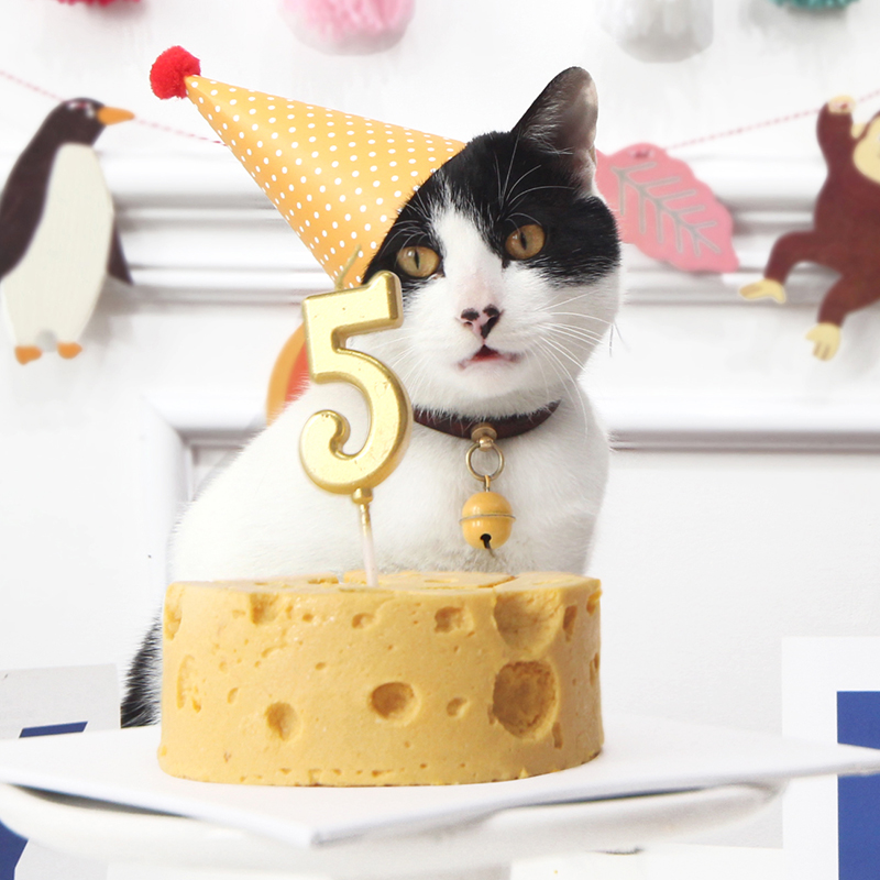 Cat eat cake pet birthday cake cat handmade nutritious cheese 4 inch 6 inch simple dog baking