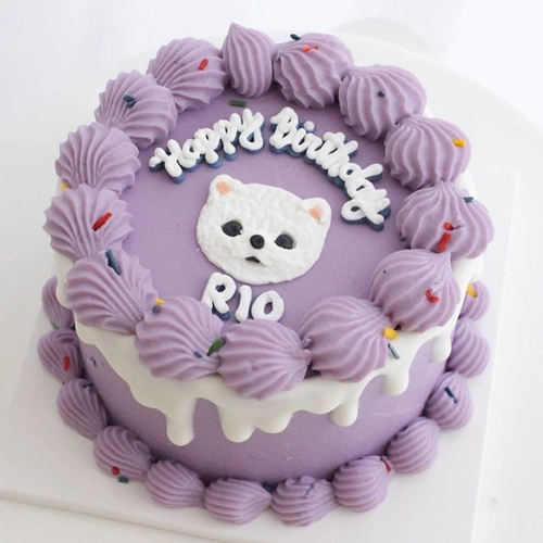 Кокоба собака на день рождения торт кошка использует ручную аватар -закуски плюшевых домашних животных для настройки корейской самостоятельной работы ручной работы