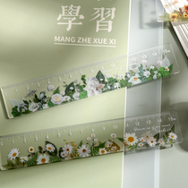 Ruler stationery creative minimalist wind plant hand ledger drawing scale gauge Acrylic 15cm Student Ruler