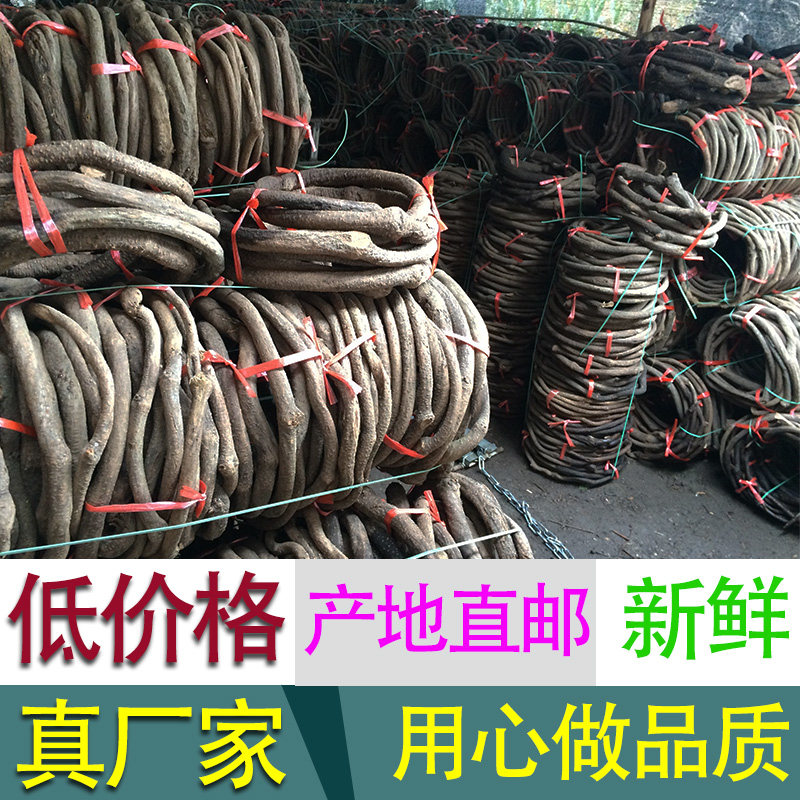 树藤 枯藤藤条装饰假花藤仿真葡萄叶红山藤藤蔓老藤树枝管道装饰