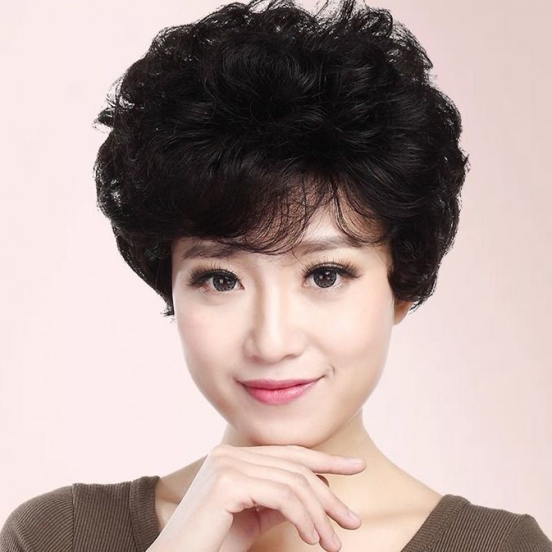 Wig Set for Women with Short Hair, Middle-Aged and Elderly Wigs, Full Head Wig, Fashionable and Elegant, Short Curly Hairstyle for Mothers, Realistic Human Hair-Like Texture