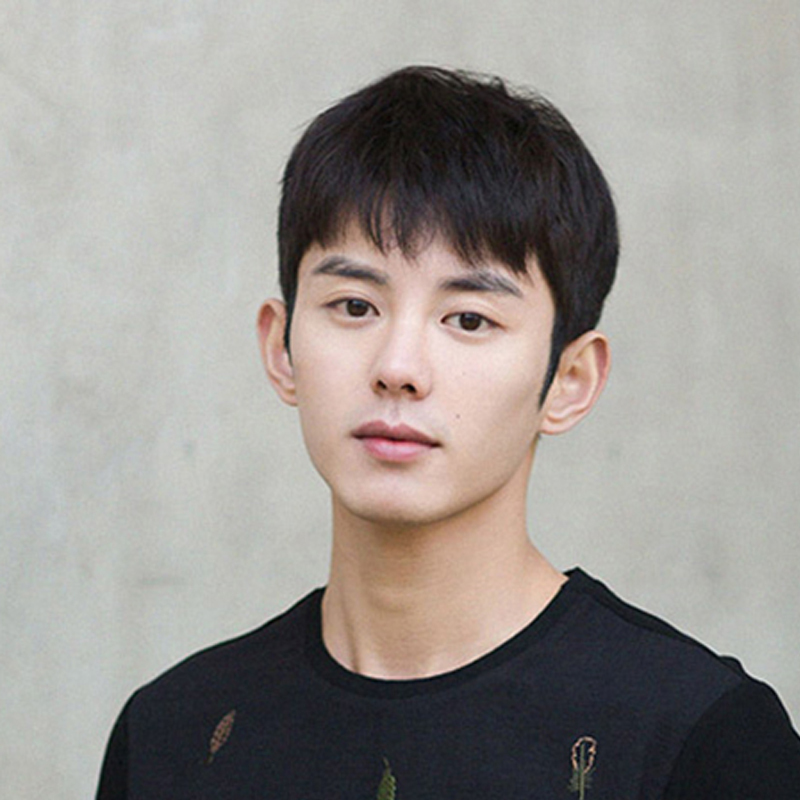 Men's Wig Short Hair Korean Style Handsome Boys Realistic Short Straight Hair Fashionable Natural Men's Fluffy Casual Student Black