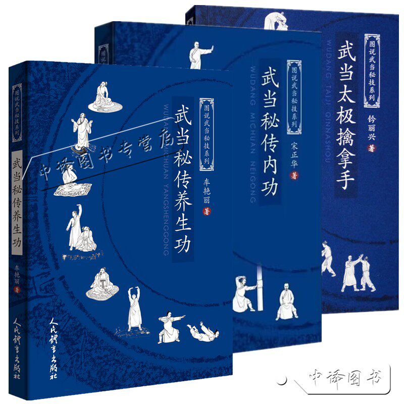 武當祕傳養生功書籍武當太極擒拿手法教學內家通臂養生功指南道家導引