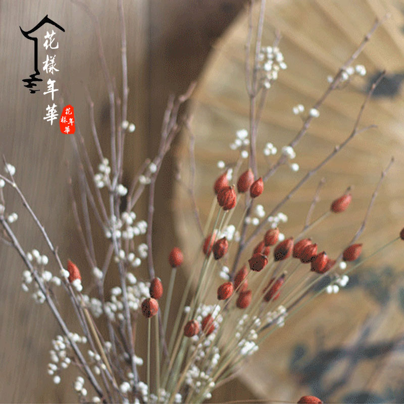 Immortal dried flowers nostalgic literary style natural dried fruits home decoration art dried flowers gardenia gardenia