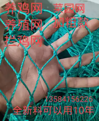 Chicken net vegetable garden net pheasant net guinea fowl net breeding net fence net chicken net chicken net