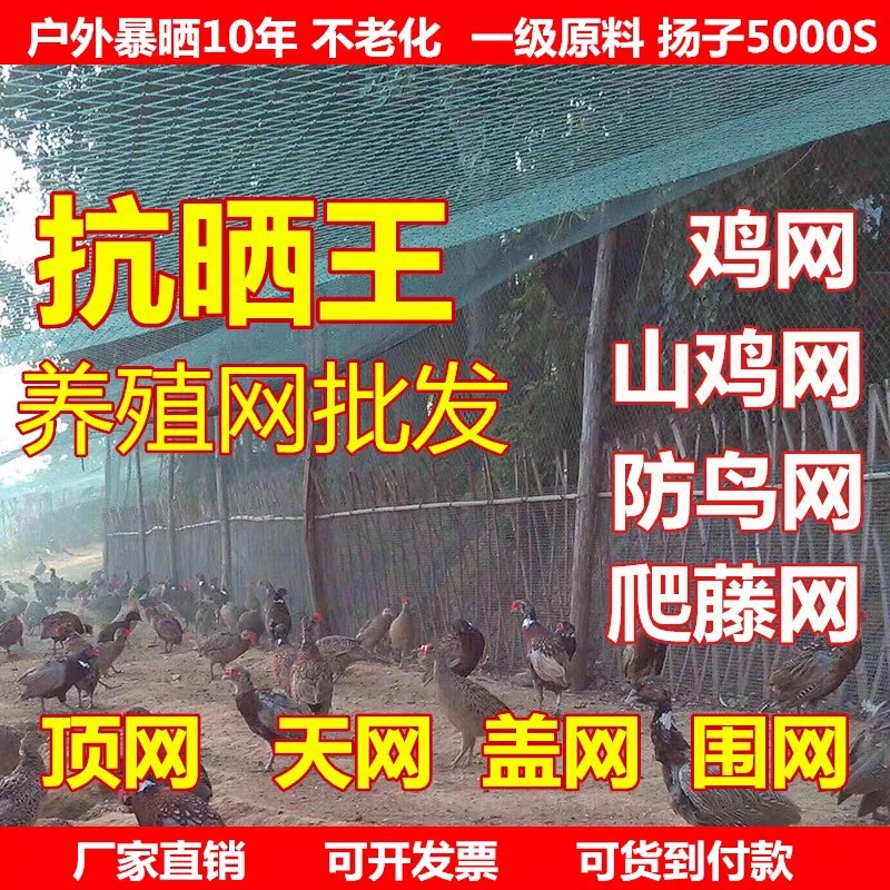 Chicken net Poultry breeding net Chicken top net