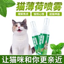 Kitty Happy Water Cat Mint Spray Water Excitement Kitty Emotion Soothing Agent Anti-Stress Response Cat
