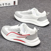 Hong Kongs Supreme mens shoes trend mesh breathable leisure shoes lightly thick - sole running shoes