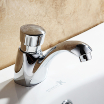 Dingshang all copper toilet hand-pressure delay faucet public places wash basin self-closing basin single Cold Faucet