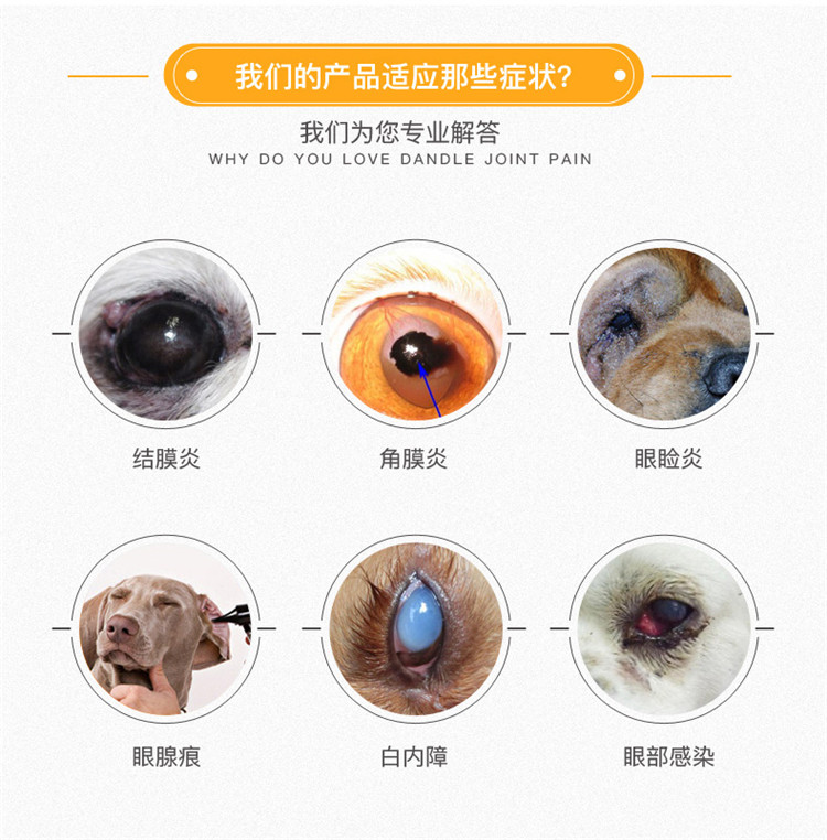 Roaming Dog Kang Eye Drops Pet Dog Cat Eye Potion Viêm kết mạc Mí mắt Làm sạch 30ml - Thuốc nhỏ mắt v rohto vitamin