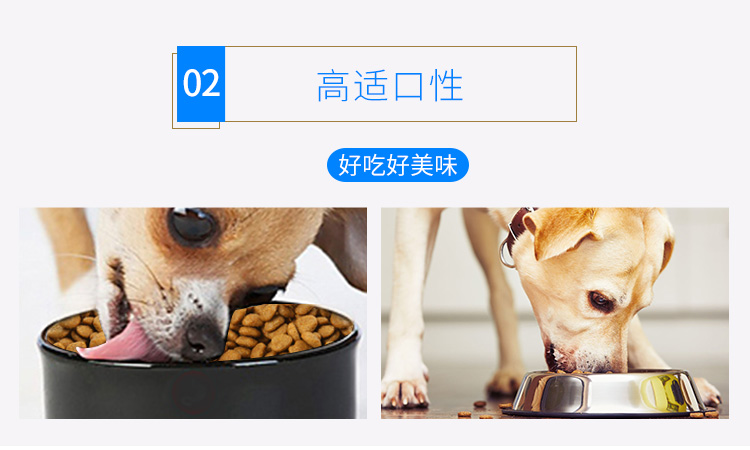 Pet Beizhi Ngũ cốc dinh dưỡng Tất cả các loại chó Tổng giá đầy đủ Thiếu sữa Bánh con chó Pet Thức ăn cho chó 3 kg - Chó Staples đồ ăn cho chó