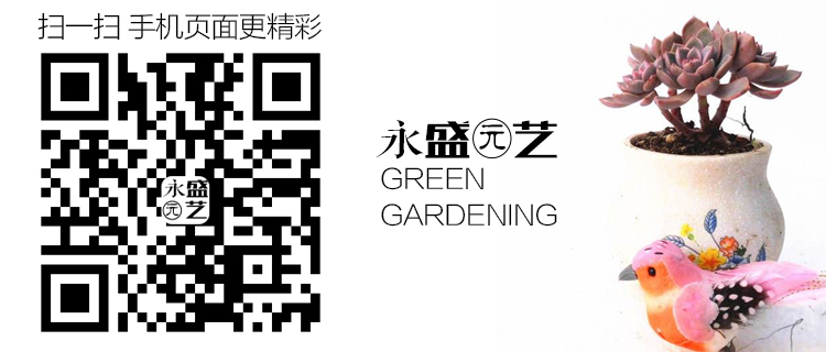 默认详情.jpg