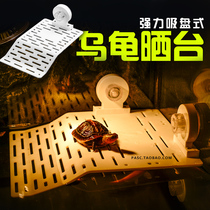 Brazilian tortoise grass Tortoise yellow edge Tortoise sun table Razor yellow head Back calcium floating platform Water turtle ladder climbing landscape