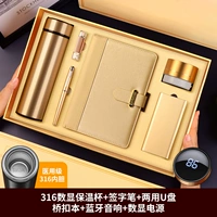 Вкладыш, золотой умный комплект, блок питания, USB-флеш-накопитель, с LED дисплеем