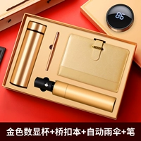 4 -Peece Set/Golden Smart Cup+Pen+Bridge Bugle+виниловая зонтика