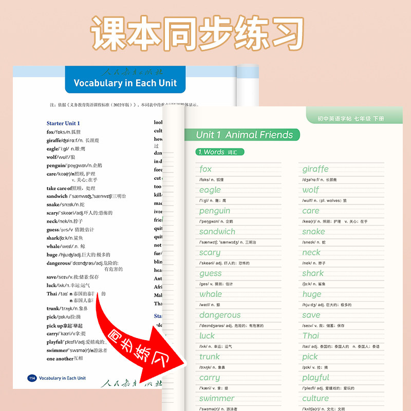 七年级上册英语单词表：开启英语学习的新篇章