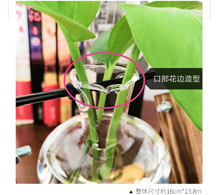 Sáng tạo khung gỗ thủy canh bình xanh cây thủy tinh phòng khách hoa nhỏ container văn phòng máy tính để bàn trang trí trang trí - Vase / Bồn hoa & Kệ chậu cây thủy sinh
