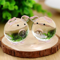 Birthday Valentines Day gifts for men and women husband and wife a pair of crystal pig home decoration Swaying Lovers Gifts