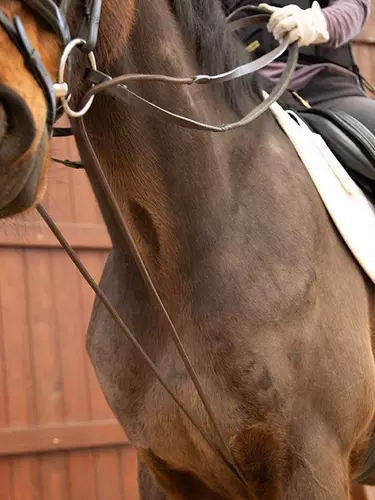 Вспомогательные поводья Horseworld из воловьей кожи, упряжь, для верховой езды, 8218138