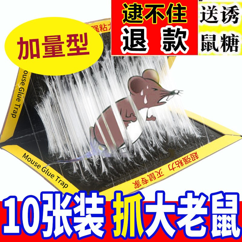 Super-powerful sticky mouse board scratching sticky big mouse stick driving glue medicine mouse artifact nemesis home a nest end