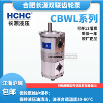 HCHC Long Source double gear pump CBWL-E320 E316-ALP ALH ALH ALZ AFH AFP AFZ TLP