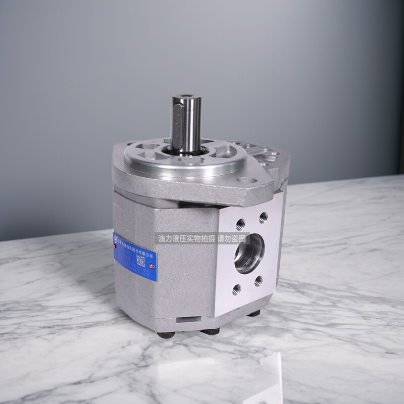 Hchc Changyuan Gear Oil Pump Cbq-G540/Afp/Afpl/Cfp/Cfpl/Cfh/Cfhl/Afh/Afhl Hchc Changyuan Gear Oil Pump Cbq-G540/Afp/Afpl/Cfp/Cfpl/Cfh/Cfhl/Afh/Afhl