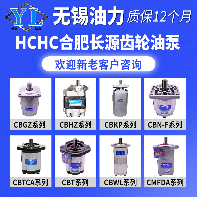 Hefei Changyuan Pump CBHZA-F30-AFL CBHYA-G32 F3 5-AT CBKa-G425-ATL
