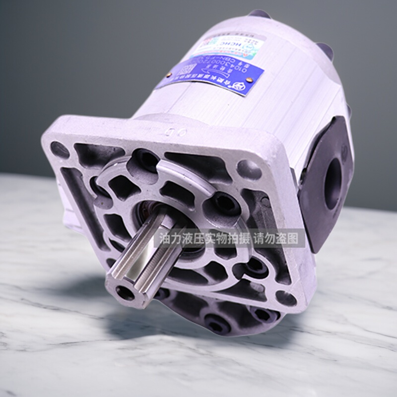 Hchc Hefei Changyuan Gear Oil Pump Cbn-F520-Bfhl Cbn-F63-Bfp Hchc Hefei Changyuan Gear Oil Pump Cbn-F520-Bfhl Cbn-F63-Bfp