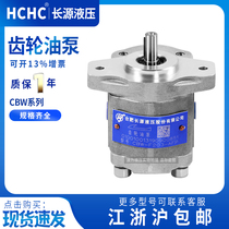 Hefei Changyuan CBW-F201 5 202 203 204 205 206-ALP ALPL hydraulic gear oil pump