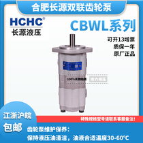 Hefei Changyuan double gear pump CBWL-E320 E320-ALP ALH ALZ AFH AFP AFZ TLP