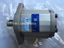 Hefei Changyuan Hydraulic Co. Ltd CBQ-G532-AFP CBQ-G540-AFP Gear Oil Pump