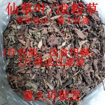 Farmers produce fresh fairy grass dry grass leaves fairy grass leaves fairy water frozen roasted fairy grass Chaoshan grass Chuen grass cold grass Xianren