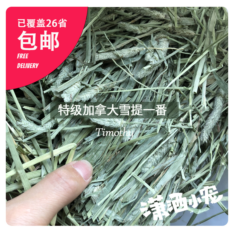 New grass spot Canadian Snow Timothy Grass Rabbit Gati Dried Grass 1P 1P 2P 2P 2p 2p 2p 2p 2p 2p 2p 2p 2p 2p 2p 2p 2p 2p