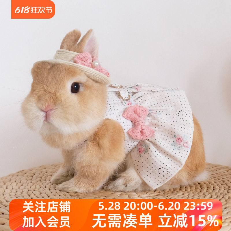 cute bunny dress Baby Bunny Dress  Pretty In Pink