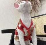 Tu Tufen Cat Одежда Sphinx безволоса