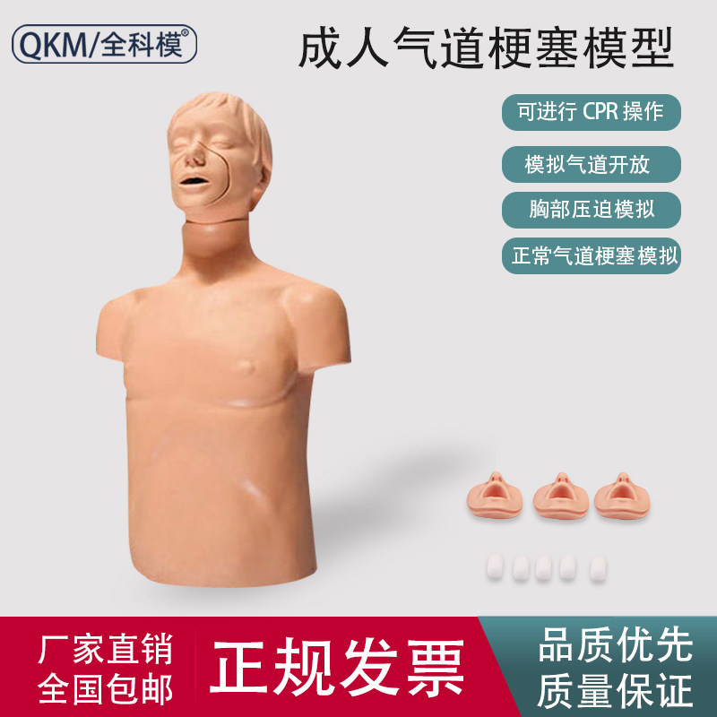 J145成人气道梗塞CPR模型海氏急救法清理口腔异物海姆立克模拟人