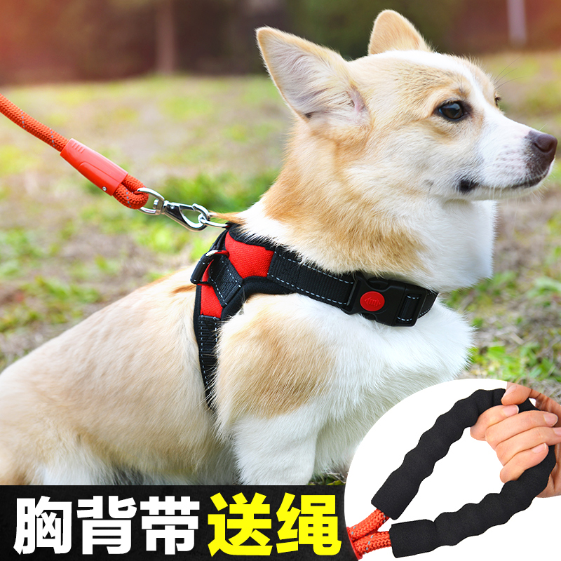 Teddy Kirky Pet Supplies Small And Medium Dog Vest Style Walking Dog Dog Traction Rope Young Dog Breast Holding Baby Bag Dog Necklace