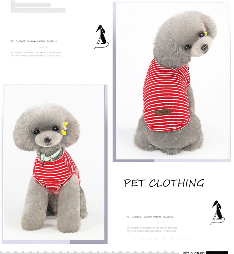 Áo sọc đáy áo vest chó con chó quần áo mùa xuân quần áo thú cưng Quần áo Teddy quần áo mùa xuân và mùa thu hơn quần áo gấu - Quần áo & phụ kiện thú cưng phu kien cho meo