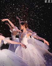 New adult Giselle long skirt Nutcracker long gauze skirt performance costume tutu skirt childrens tutu skirt female