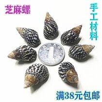 Natural small sea snail shells Creative DYI handmade material Drift bottle shell painting accessories