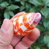 Натуральная раковина красный таро улитка Редкие образцы из улитки рыб аквариум ландшафт Средиземноморский дом украшения