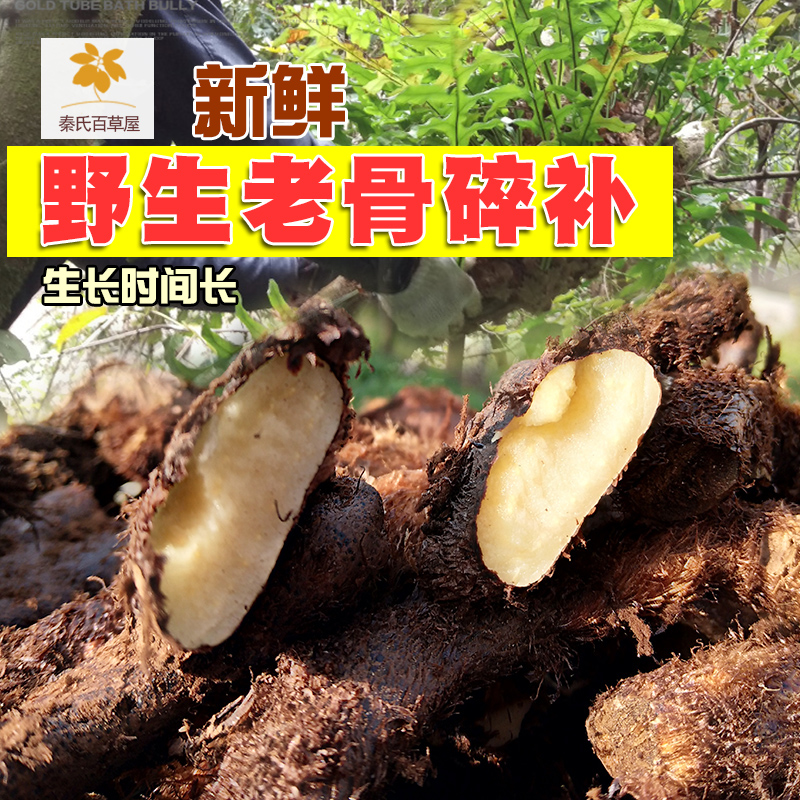 Guizhou fresh wild bone crushed mullet, ginger climbing ginger stone rock ginger, 500g pieces of monkey ginger Chinese herbal medicine