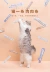 Cat Mười ba Furrytail Tail Life Cat One Snack Meat Mud Dinh dưỡng Thực phẩm tươi 6 Gói - Đồ ăn nhẹ cho mèo Đồ ăn nhẹ cho mèo