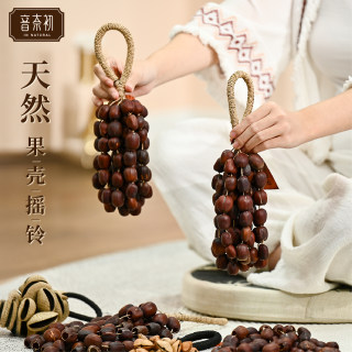 果壳铃疗愈冥想进口手工治愈助眠解压天然种子风铃手铃果实手摇铃