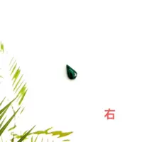 Павлин бирюзовая (справа) одиночная установка влево и вправо