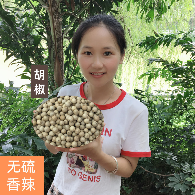 Pure Hainan Special Class Selected White Pepper Grain Can Grind Powder for Commercial Home 500g Barbecue Hot Pot Seasonings