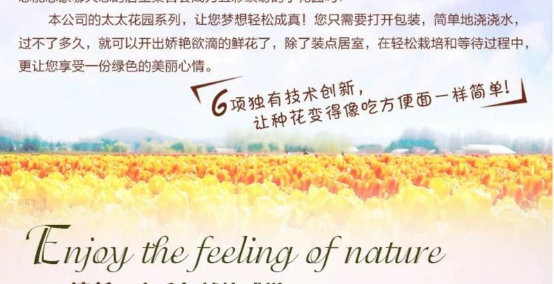 Chậu hoa thổi bóng / máy thổi bụi làm vườn công cụ thịt cung cấp công cụ làm sạch thịt - Nguồn cung cấp vườn vòi tưới nhỏ giọt
