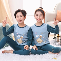 Космический медведь